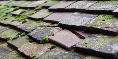 Cookley roof repair costs